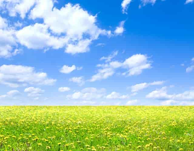 剪辑的视频怎么在顶部加介绍