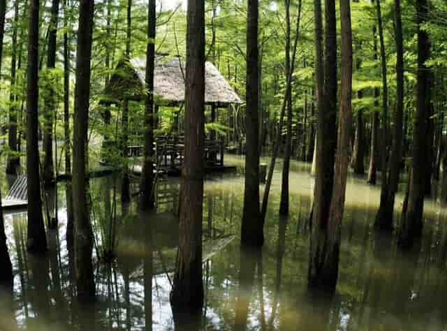 娃哈哈营养快线宏观环境分析