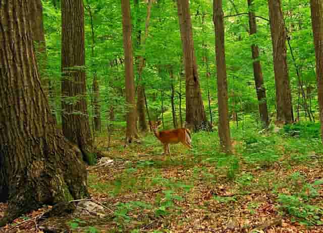 今年职校录取分数线